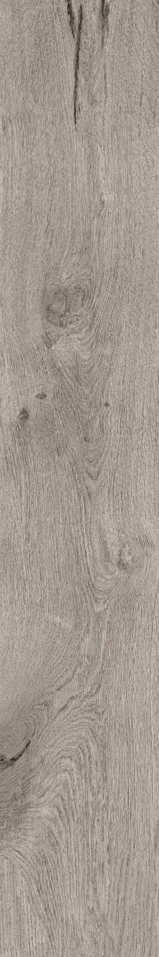 bark