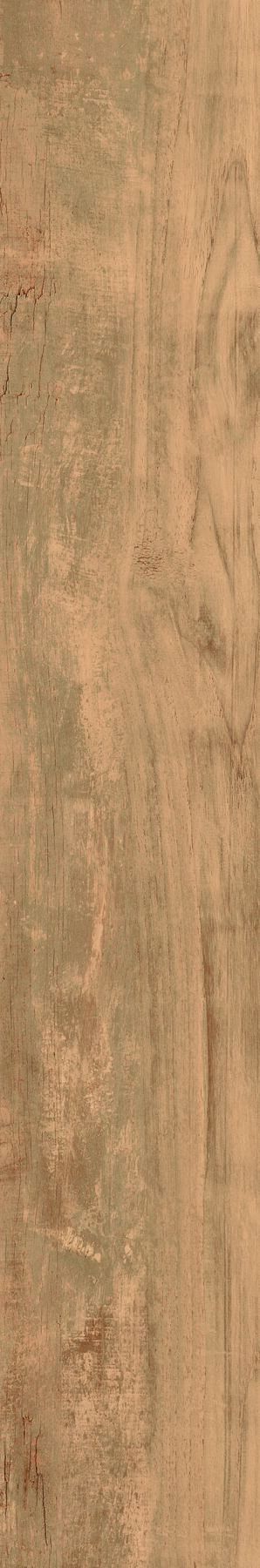 abete