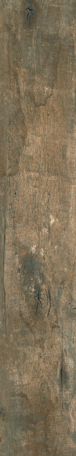 teak