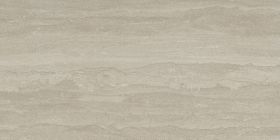 tortora vein cut
